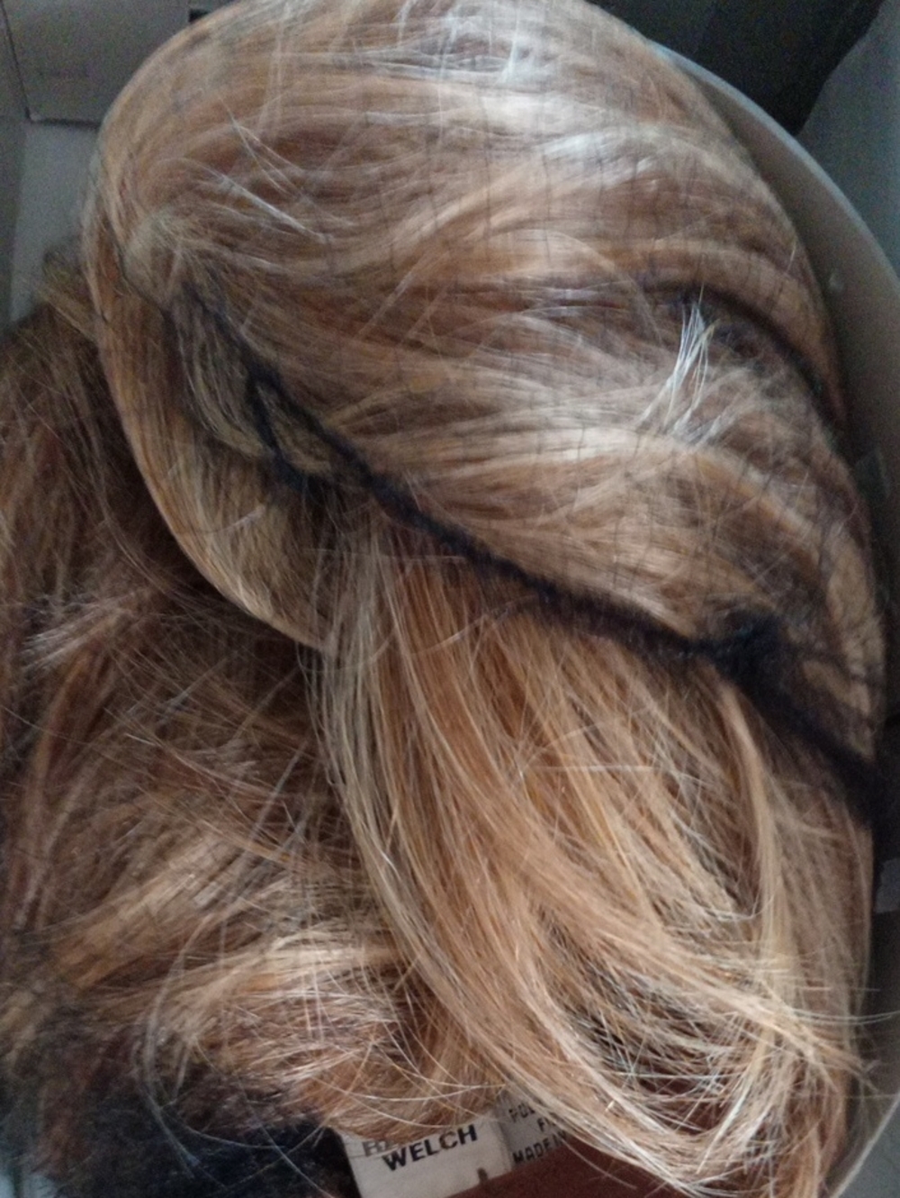 Raquel Welch - Sheer Indulgence Hairpiece Wig - Natural Blonde Highlights